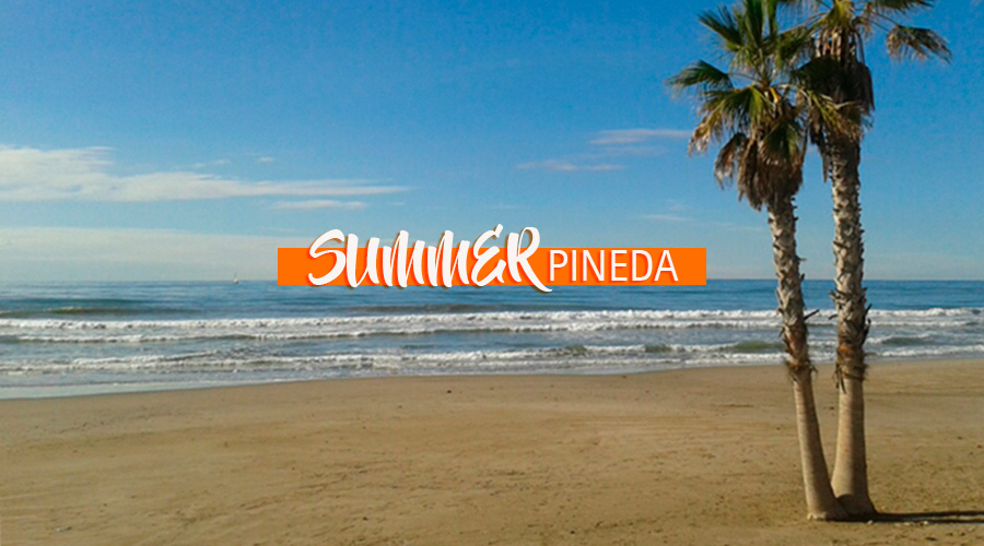 Summer Pineda - inmobilia